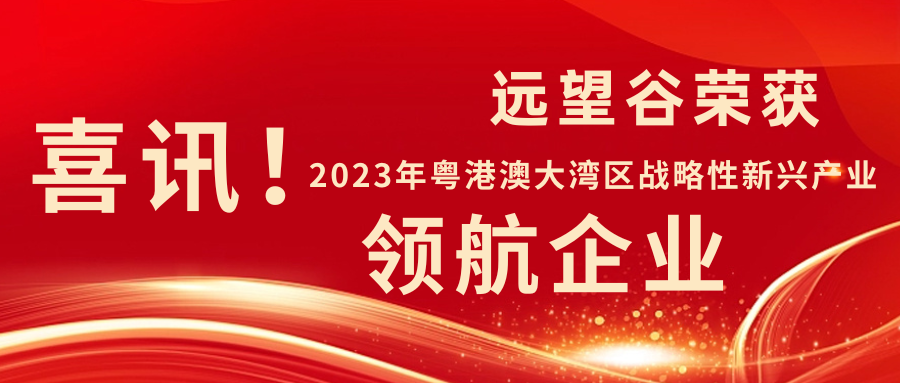 新年迎喜讯 | 远望谷荣获2023年粤港澳大湾区战略性新兴产业“领航企业”！